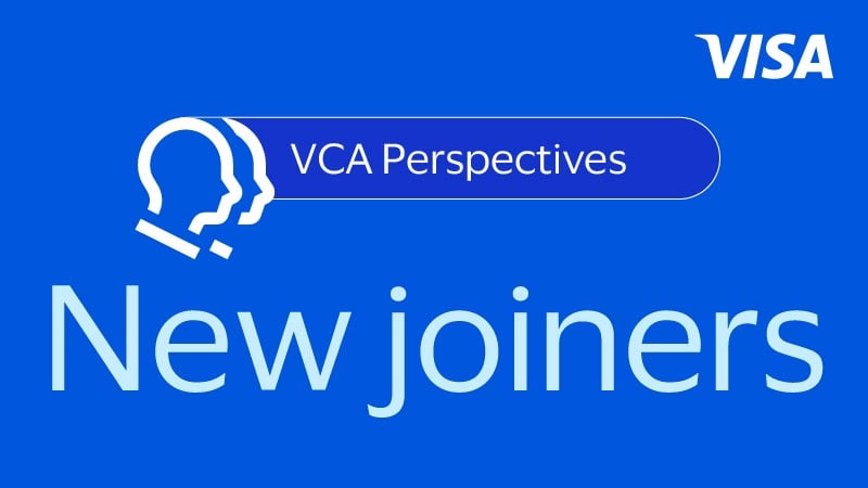 Visa support service success partners