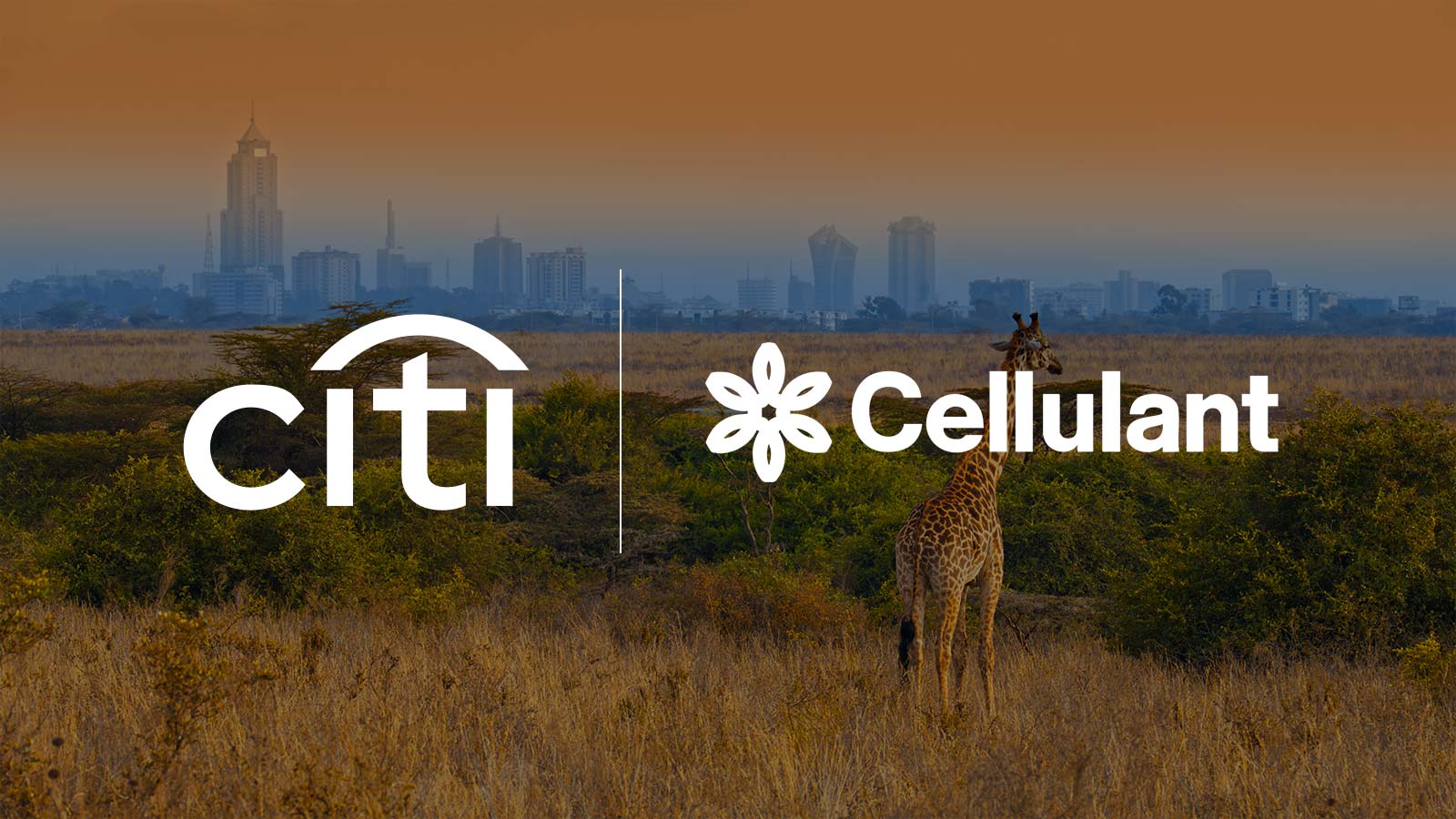 Partnership image displaying logos for Citi Bank and Cellulant