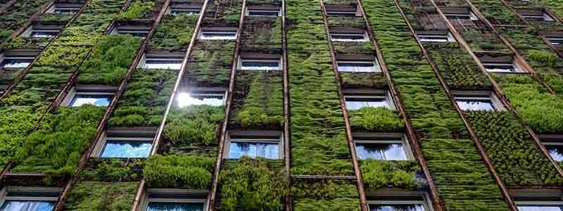 Skyscraper with plants scaling its side