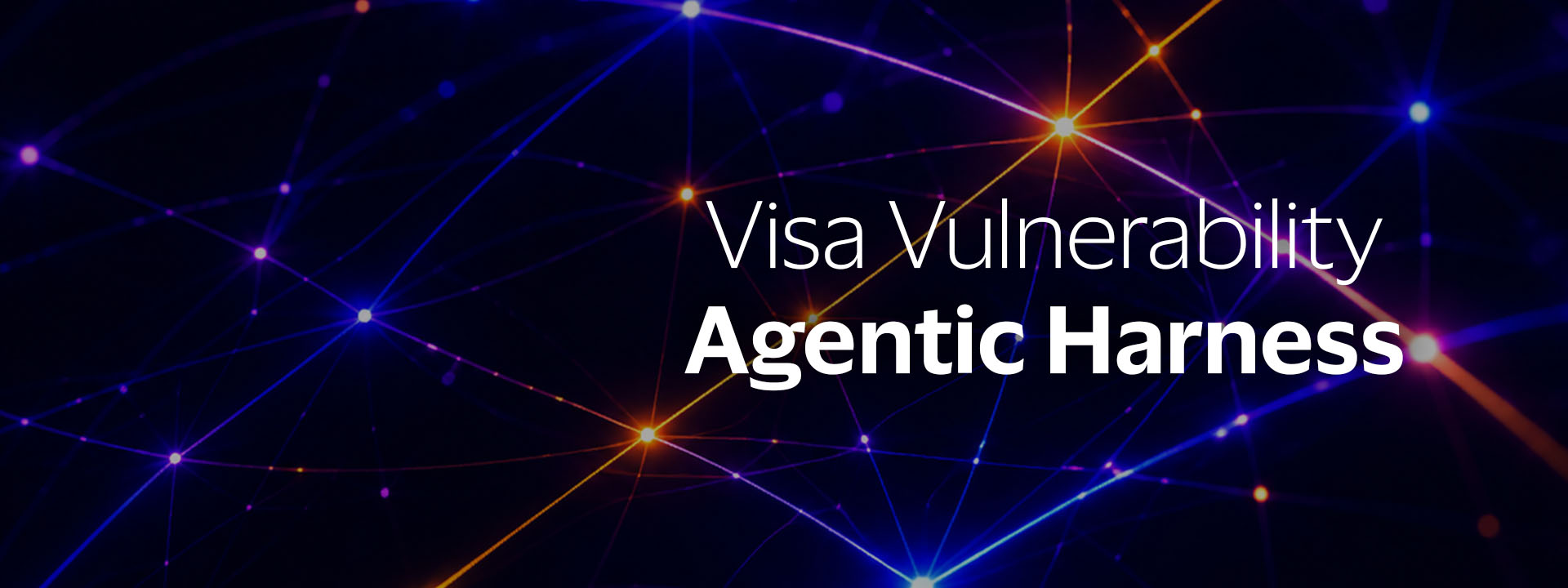 Visa Vulnerability Agentic Harness