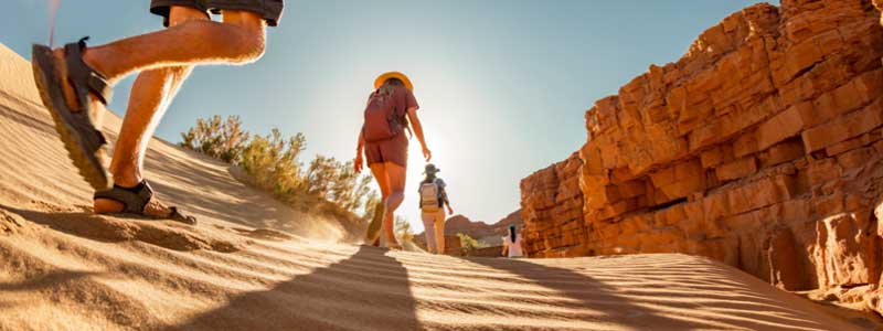 Group of tourists with small backpacks walks in sunset desert