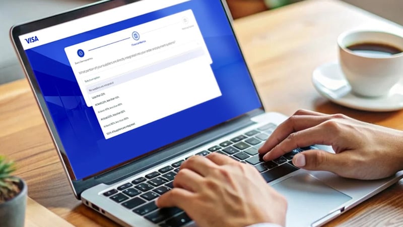 Person using laptop software branded with Visa logo.