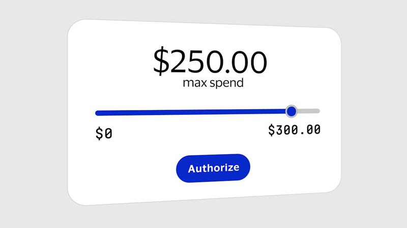 Card showing $250.00 max spend with an indicator showing $0 to $300 and an Authorize button.