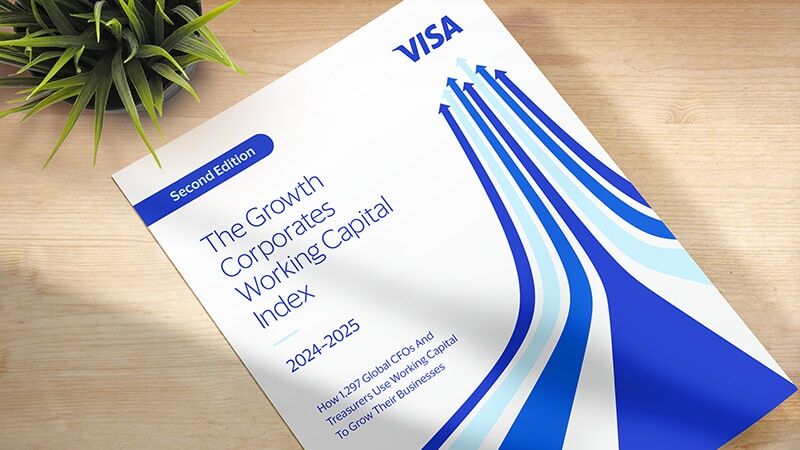 The Growth Corporates Working Capital Index 2024-2025 report.