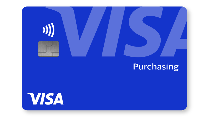 Visa purchasing card artwork