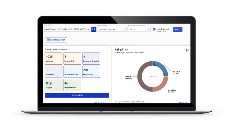 Visa IntelliLink dashboard