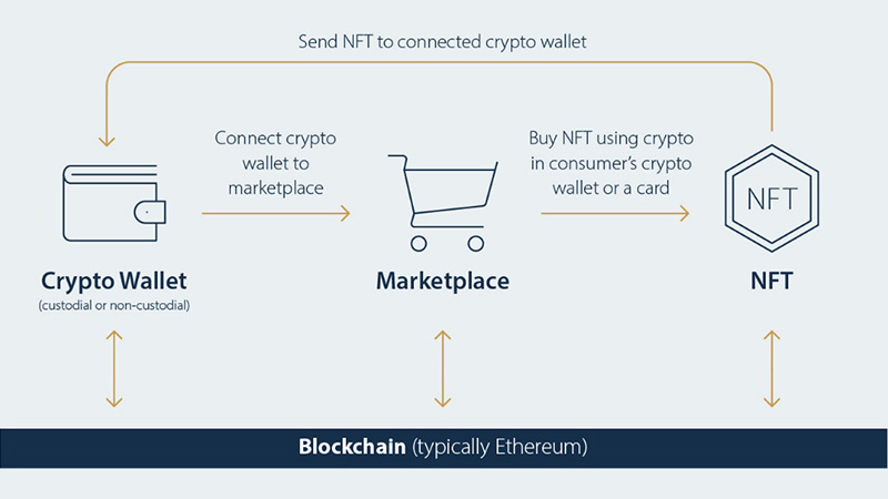 Diagram showing how crypto wallets work