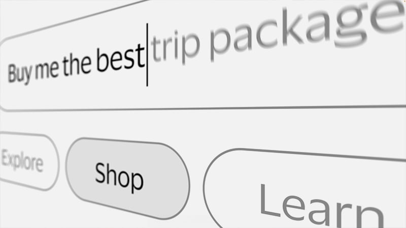 AI agent user interface for shopping for the best trip package