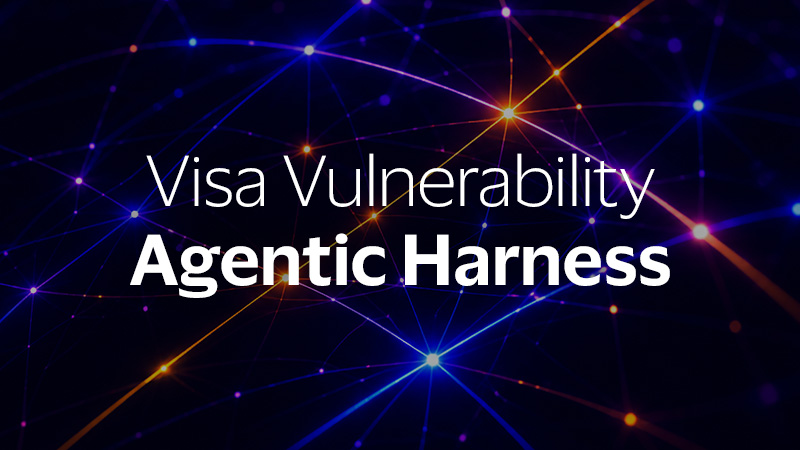 Visa Vulnerability Agentic Harness
