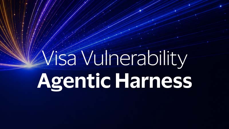 Visa Vulnerability Agentic Harness