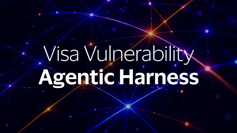Visa Vulnerability Agentic Harness
