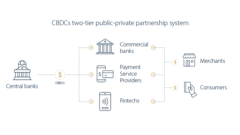 Chart showing CBDCs two-tier public-private partnership system.